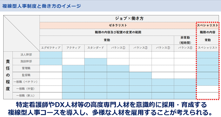 複線型人事制度と働き方のイメージ

特定看護師やDX人材等の高度全問人材を意識的に採用・育成する複線型人事コースを導入し、多様な人材を雇用することが考えられる。