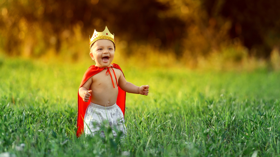 AdobeStock_171725393.jpg